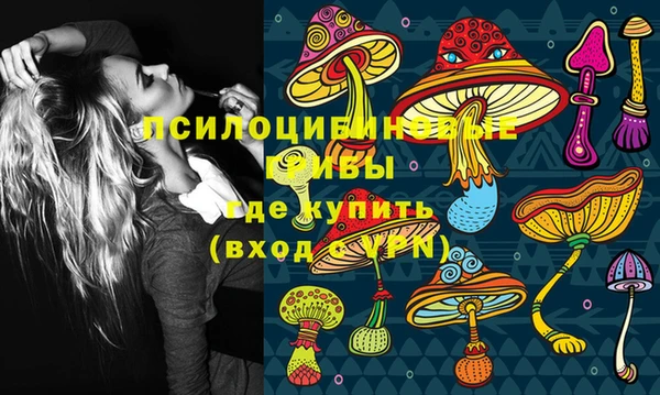 марки lsd Абаза
