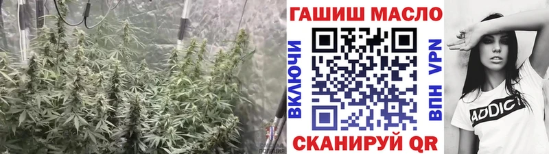 сколько стоит  Щёлково  Дистиллят ТГК жижа 