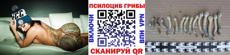 KRAKEN tor  Щёлково  Псилоцибиновые грибы мицелий 